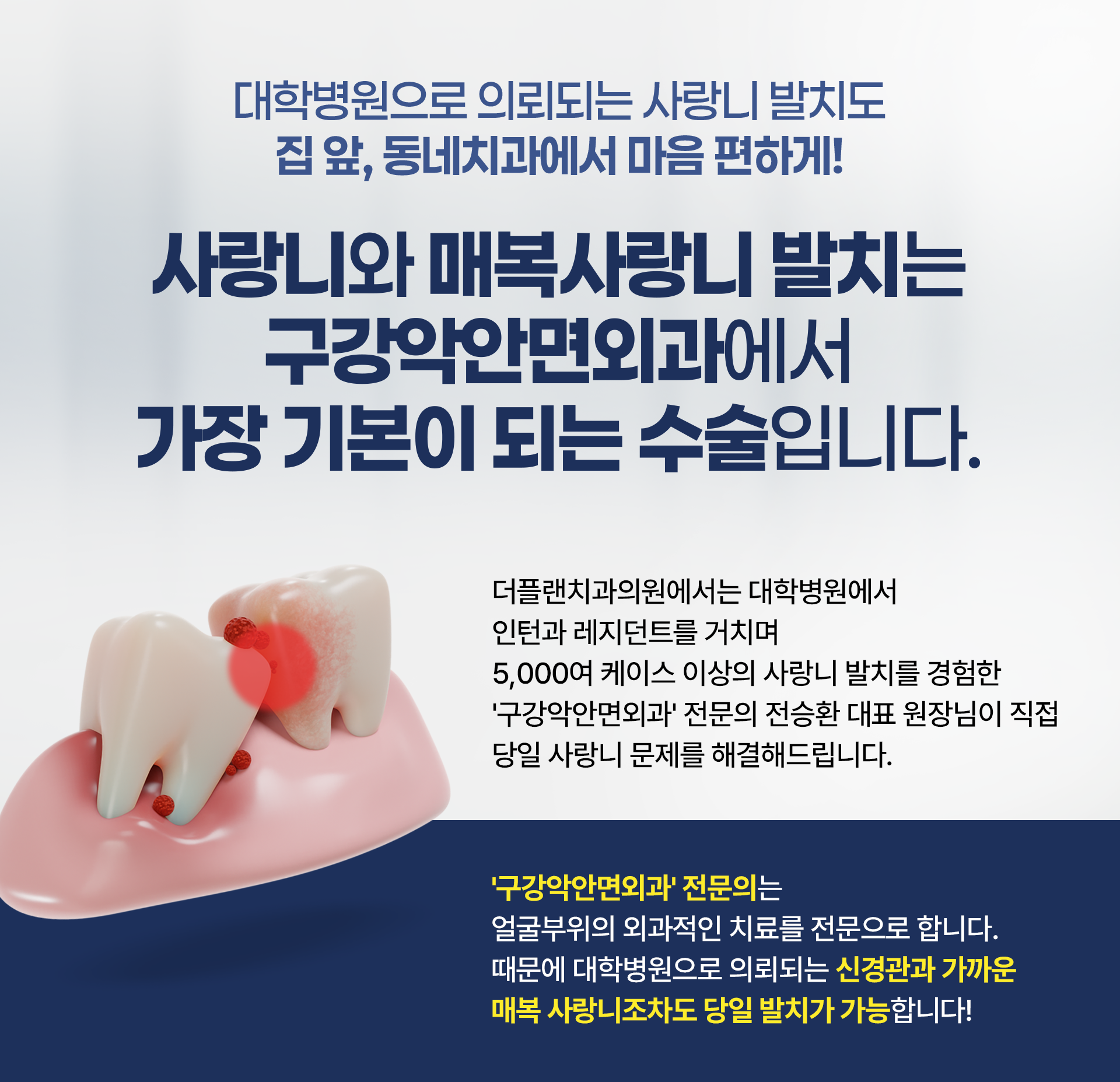 전체이미지6
